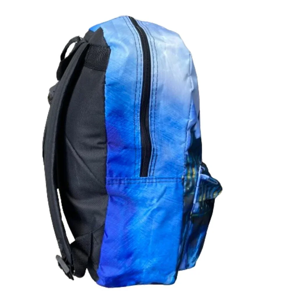 Harry Potter Backpack NWT, Hogwarts at Night Full Moon Nylon Ready for School!